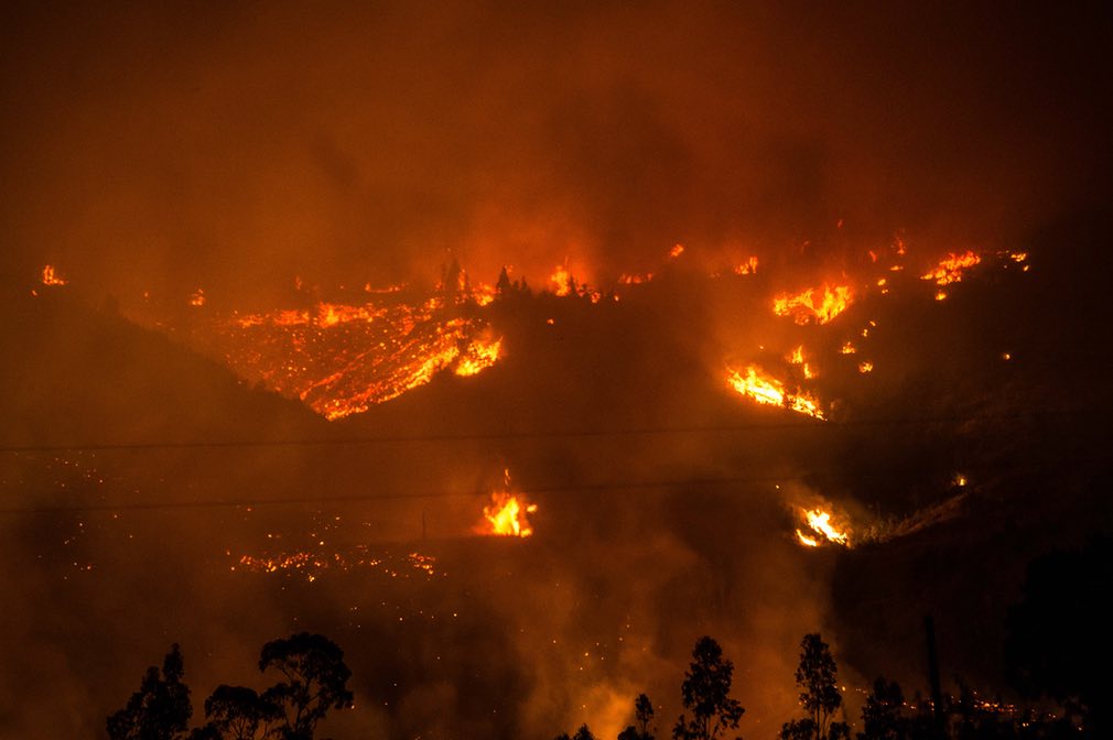 Der schlimmste Waldbrand in der Geschichte Chiles und die Auswirkungen auf den Preis von Fluff Pulp