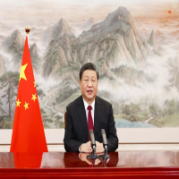 Xi fordert gemeinsame Schritte in Richtung Erholung und finanzielle Stabilität