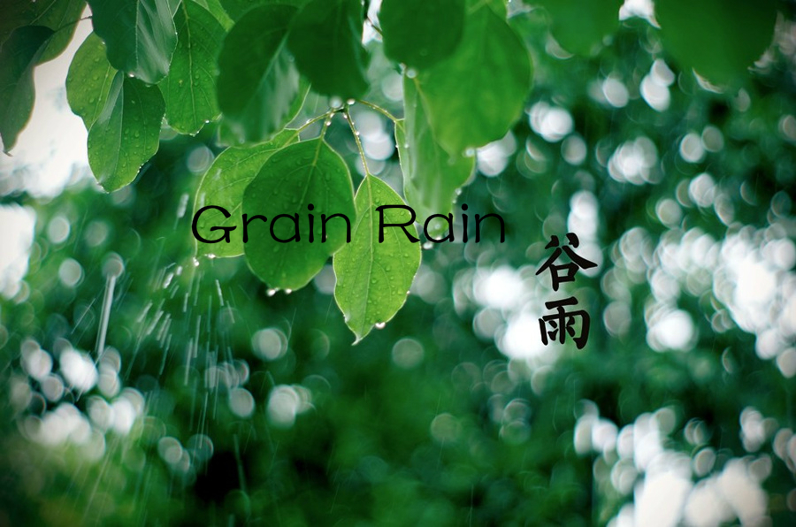 Kultur-Insider: Fünf Dinge, die Sie vielleicht nicht über Grain Rain wissen